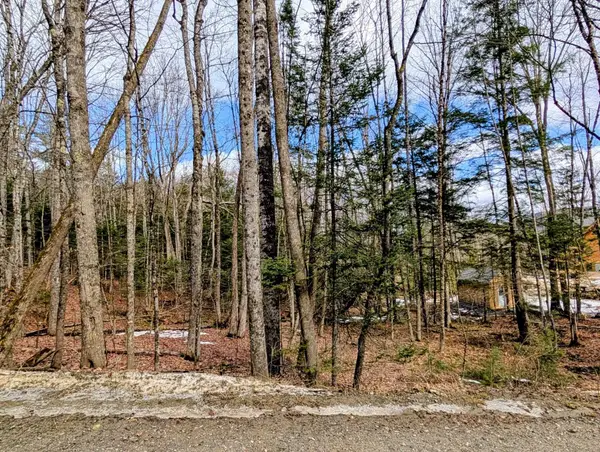 Lot 258 Kearsarge Drive, Haverhill, NH 03785