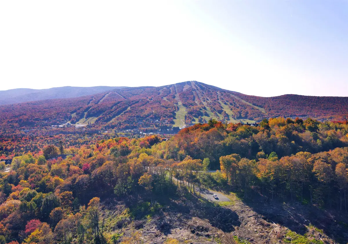 16 Overlook Drive, Dover, VT 05356 - #1