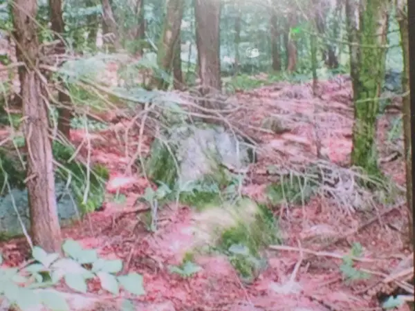 107-11.1 Wood lot Lane, Stoddard, NH 03464