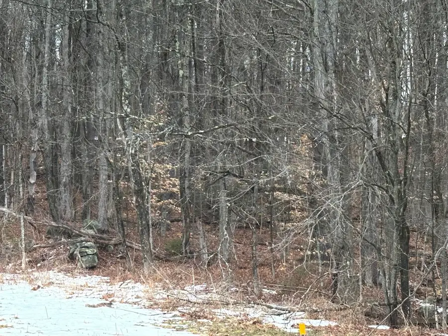 New Hampshire Route 119, Rindge, NH 03461 - #3