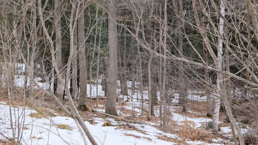 0 Kestrell Drive #2-73, Plymouth, VT 05056 - #2