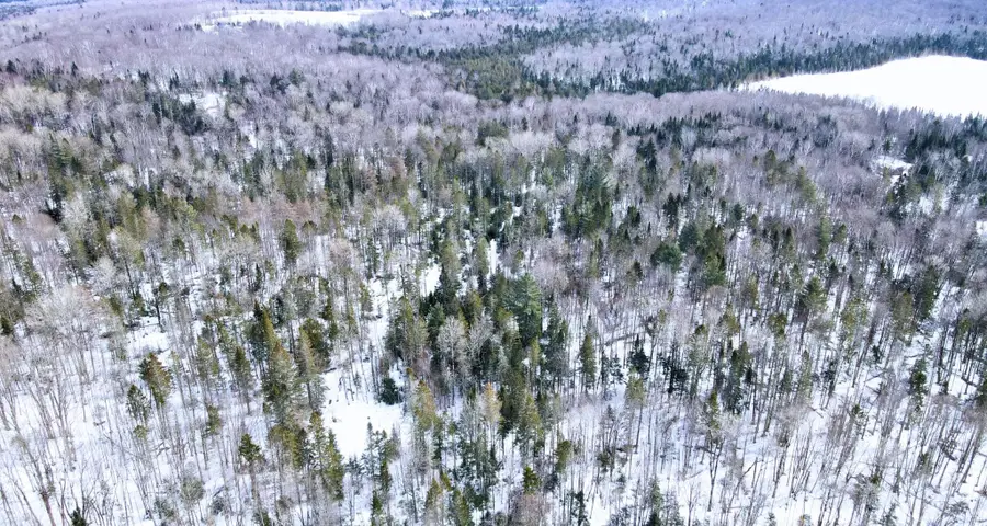 1606 Town Farm Road, Sheffield, VT 05866 - #3