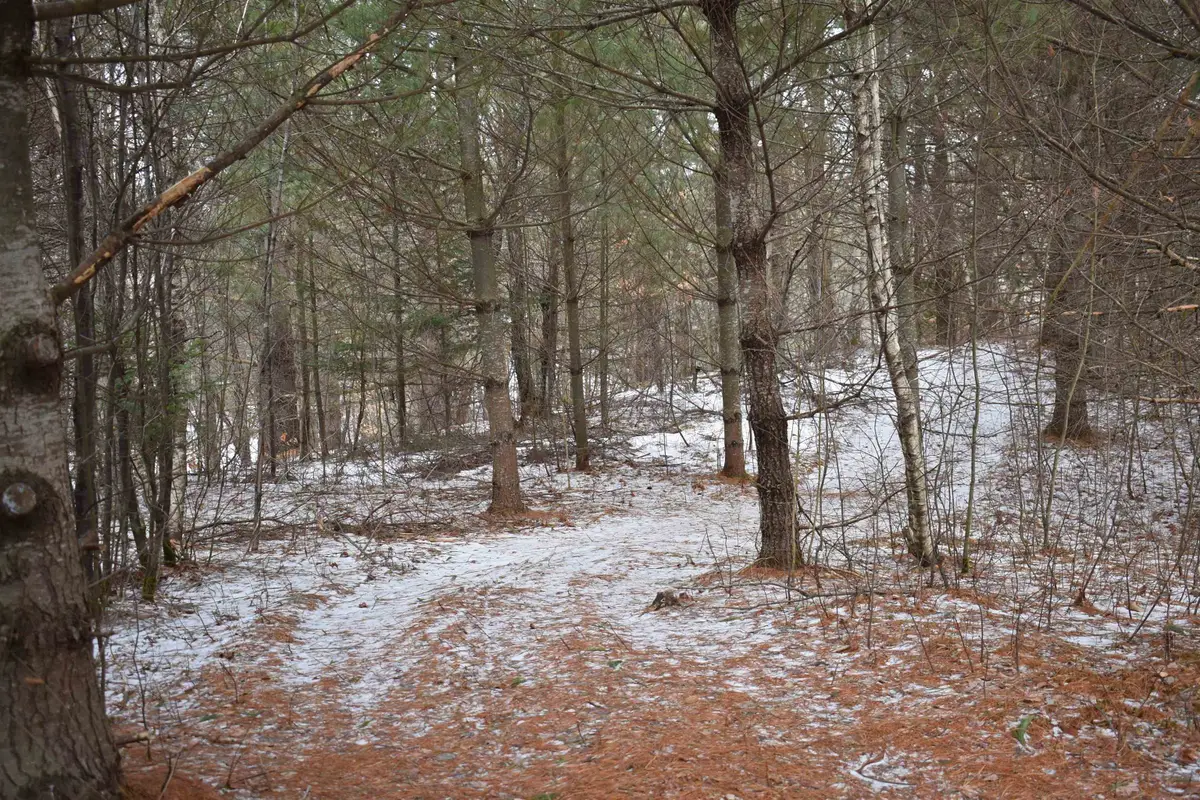 rt 58 East, Lowell, VT 05847 - #1