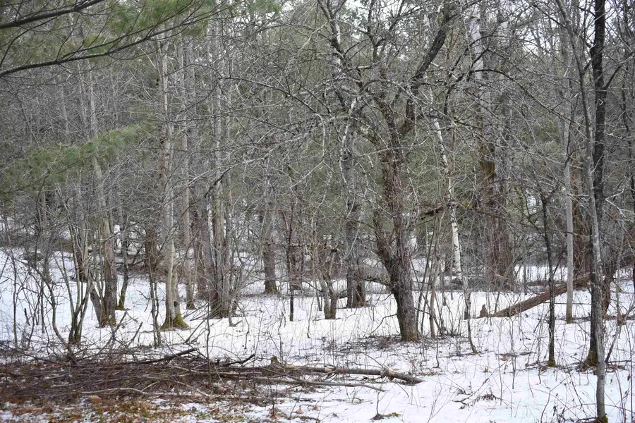 rt 58 East, Lowell, VT 05847 - #2