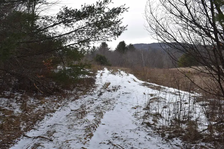 rt 58 East, Lowell, VT 05847 - #3