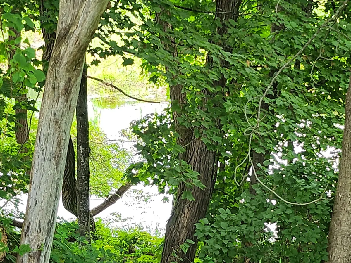 126 Meredith Center Road, Meredith, NH 03253 - #1