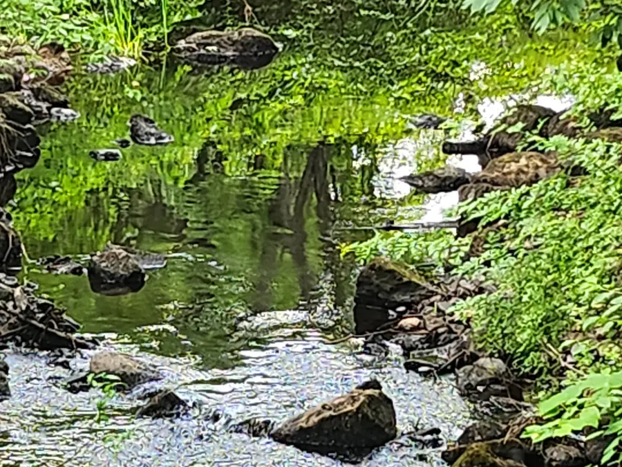 126 Meredith Center Road, Meredith, NH 03253 - #2