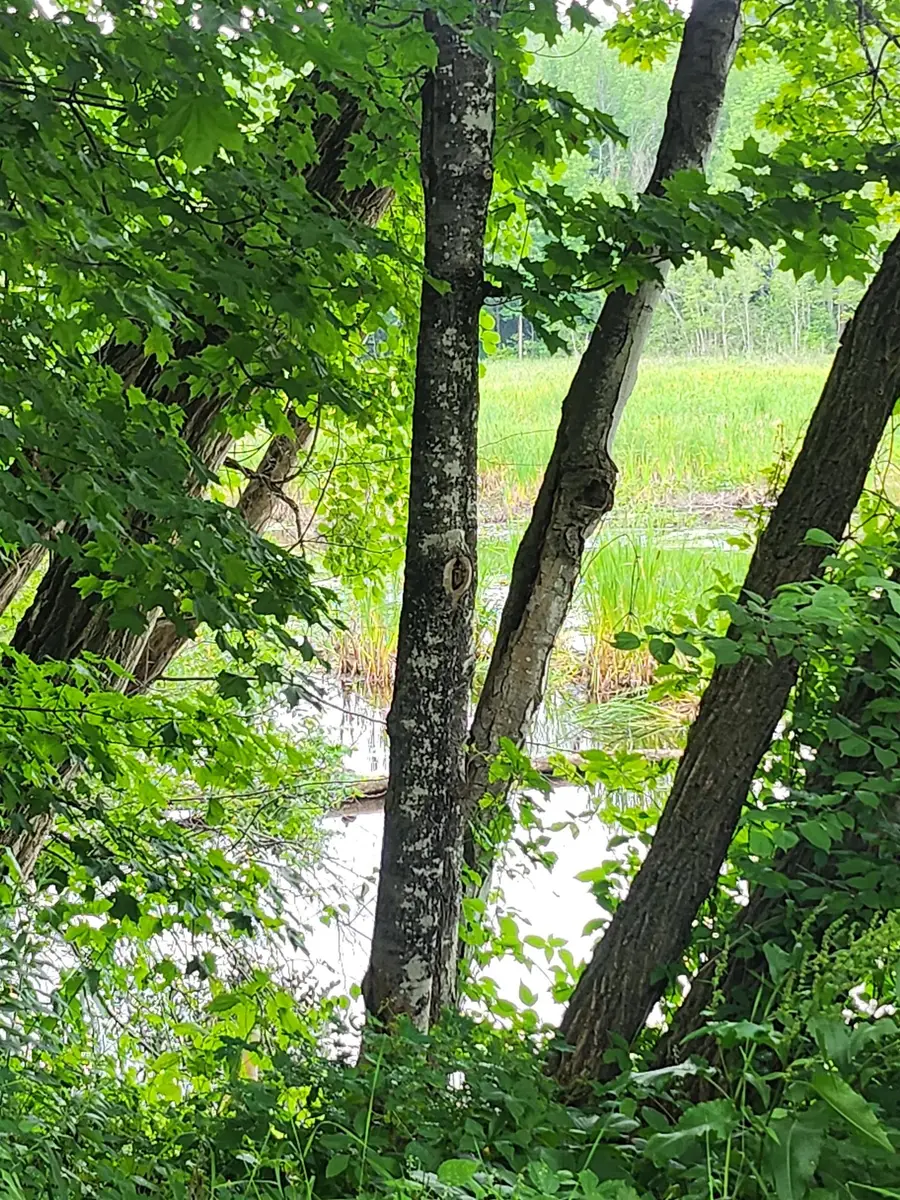 126 Meredith Center Road, Meredith, NH 03253 - #3