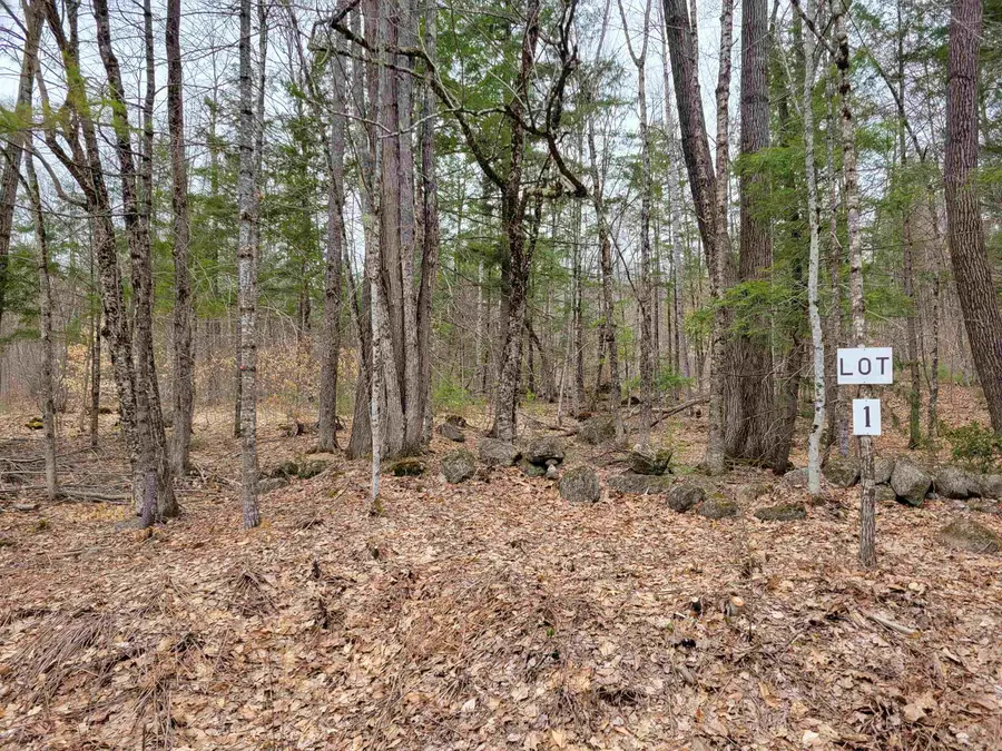 582-1 West Fryeburg Road, Fryeburg, ME 04037 - #3