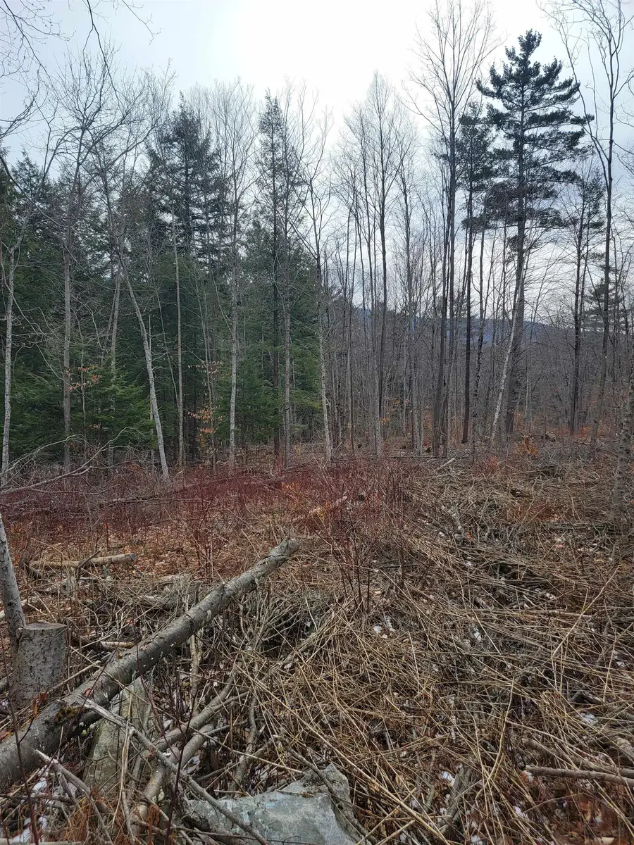 80 Crossover Road, Bennington, VT 05201 - #3