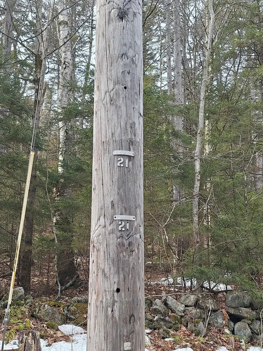 00 Rogers Road, Alstead, NH 03602 - #3