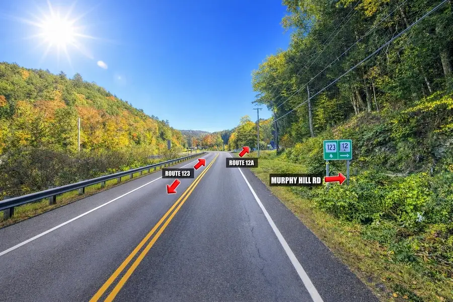 Lot 9-29 Murphy Hill Road, Alstead, NH 03602 - #3