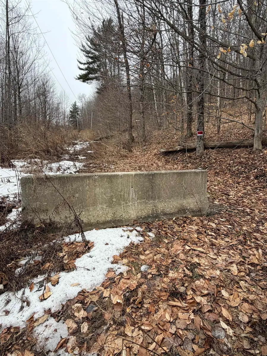 194 Mine Road, Strafford, VT 05072 - #2