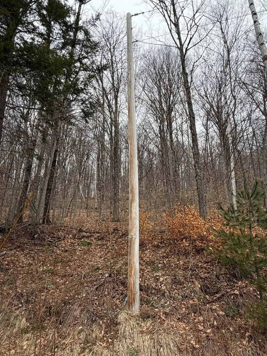 194 Mine Road, Strafford, VT 05072 - #3