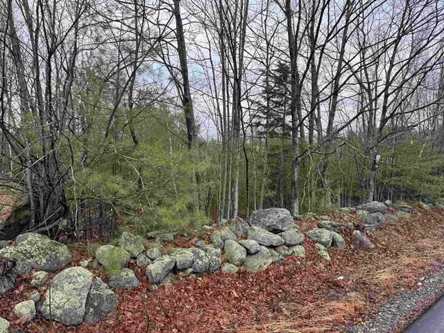 TBD Mason Road, Milton, NH 03851 - #1