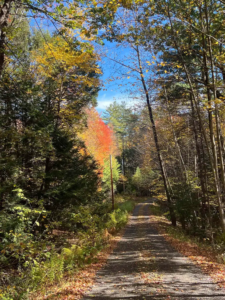 31 Poplar Lane, Vernon, VT 05354 - #3