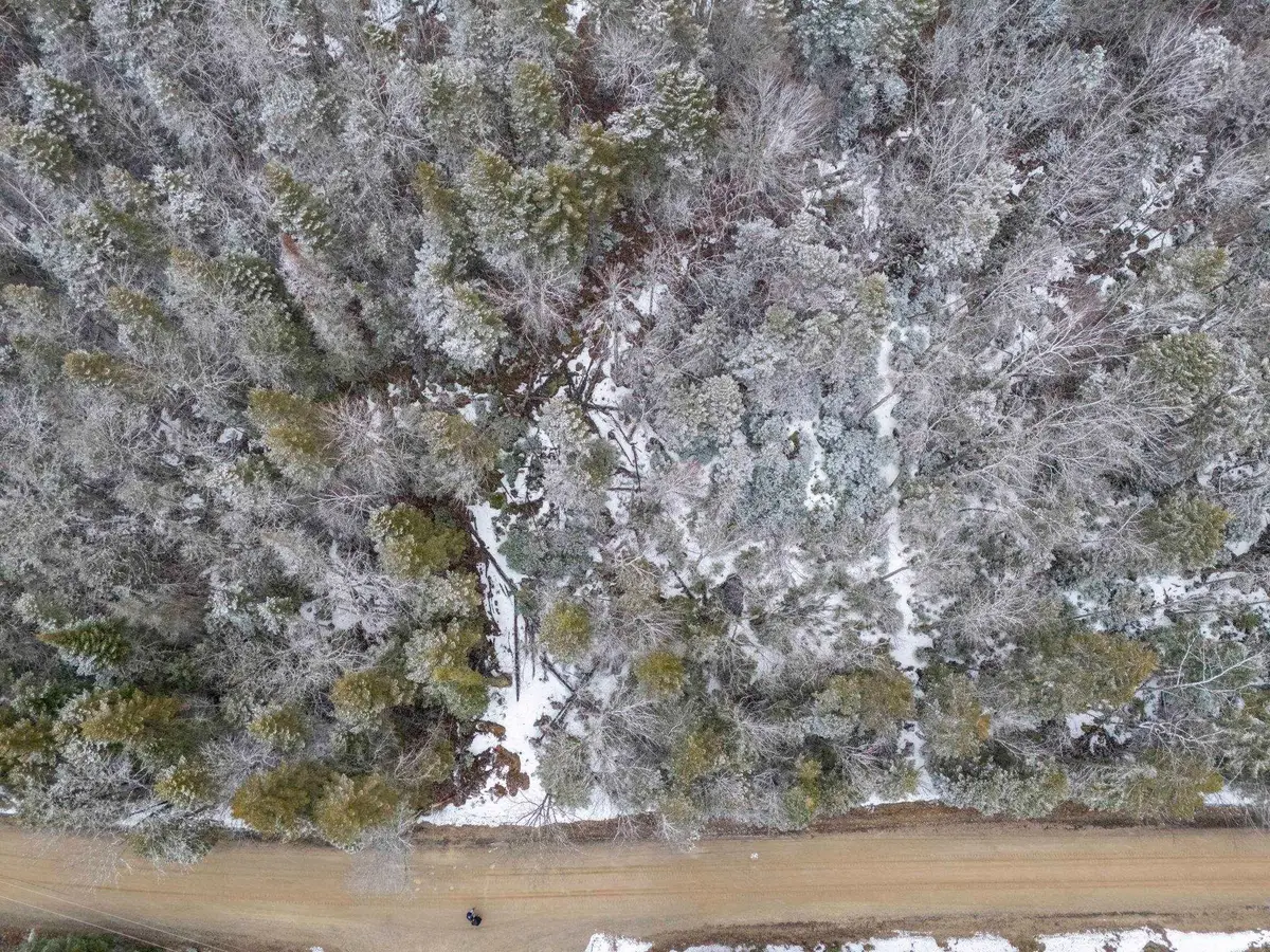 M10 L50 Ashuelot Drive, Washington, NH 03280 - #1