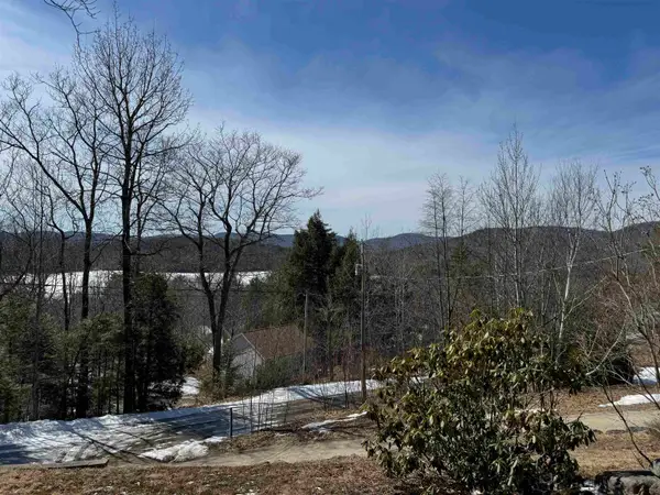 Lot 185 Nutter Drive #Map 71, Lot 185, Alton, NH 03809