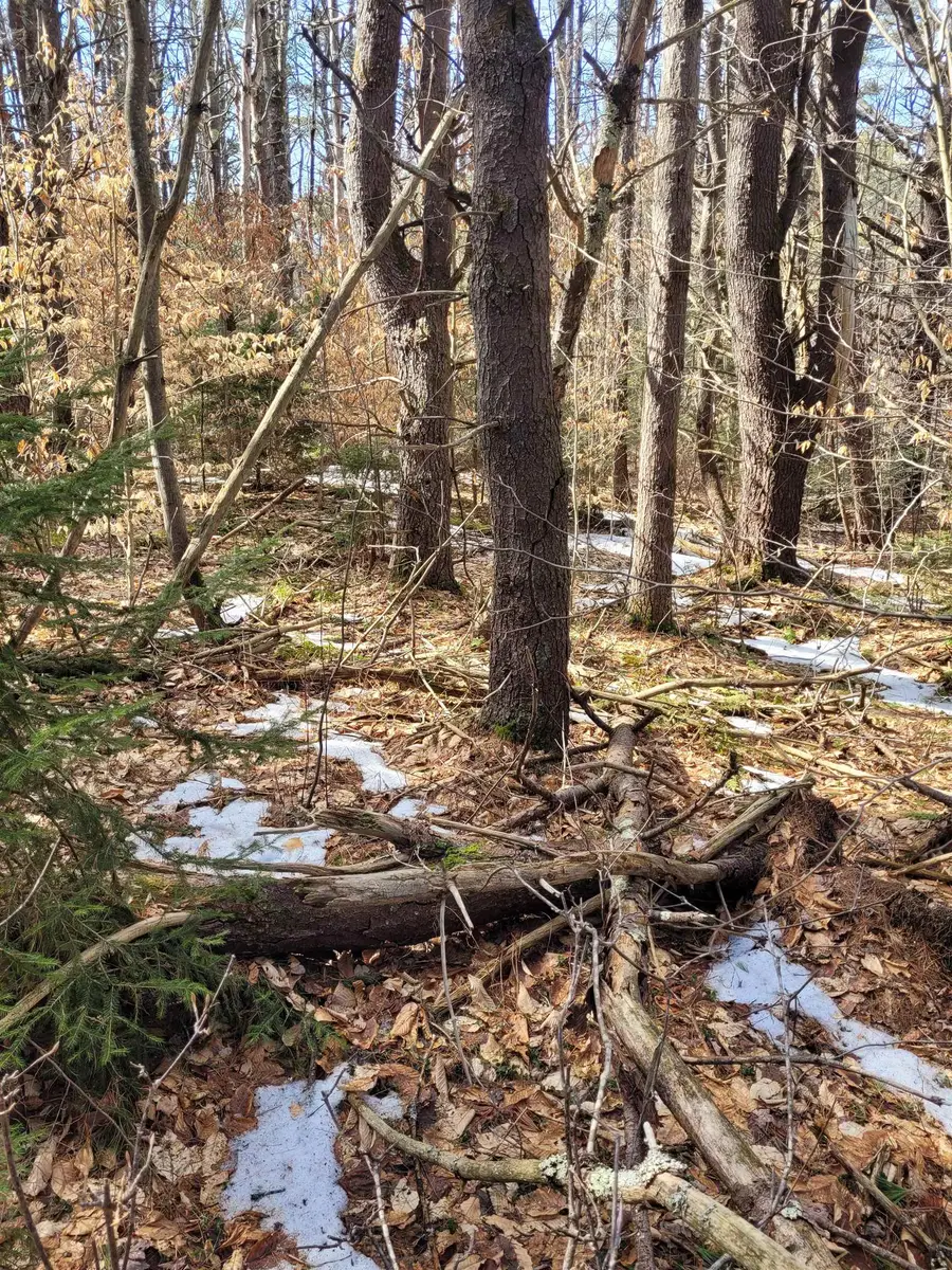 00 Rt 9 Highway, Sullivan, NH 03445 - #3