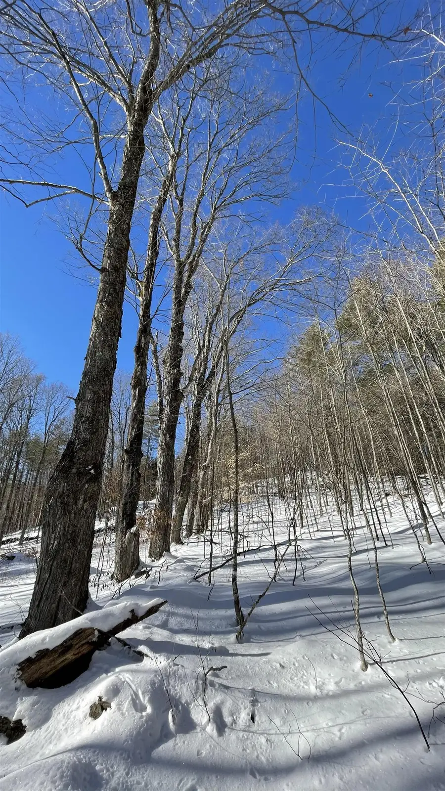 Masterson Road, Barnard, VT 05031 - #3