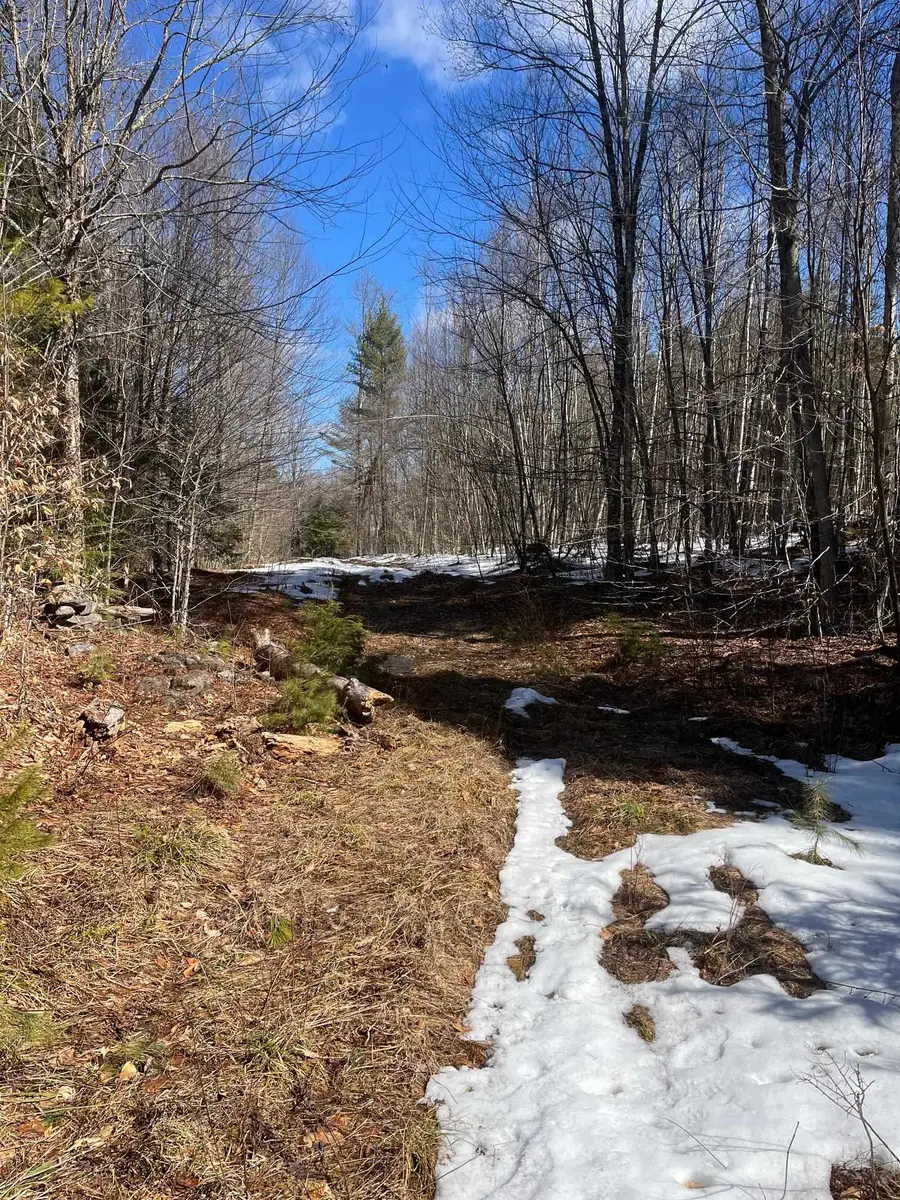 00 Pratt Bridge Road, Jamaica, VT 05143 - #2