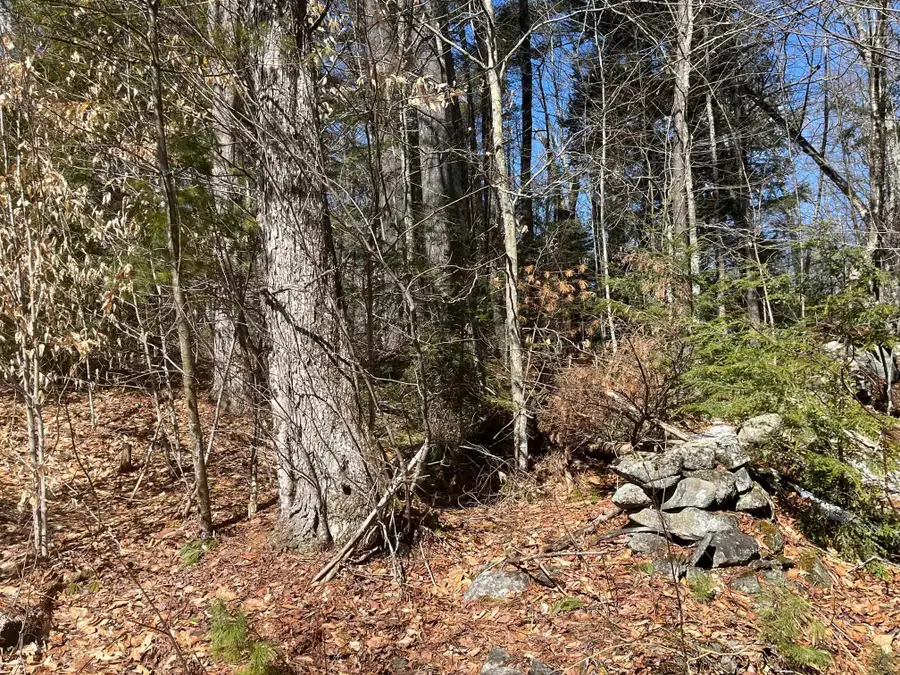 00 Pratt Bridge Road, Jamaica, VT 05143 - #3