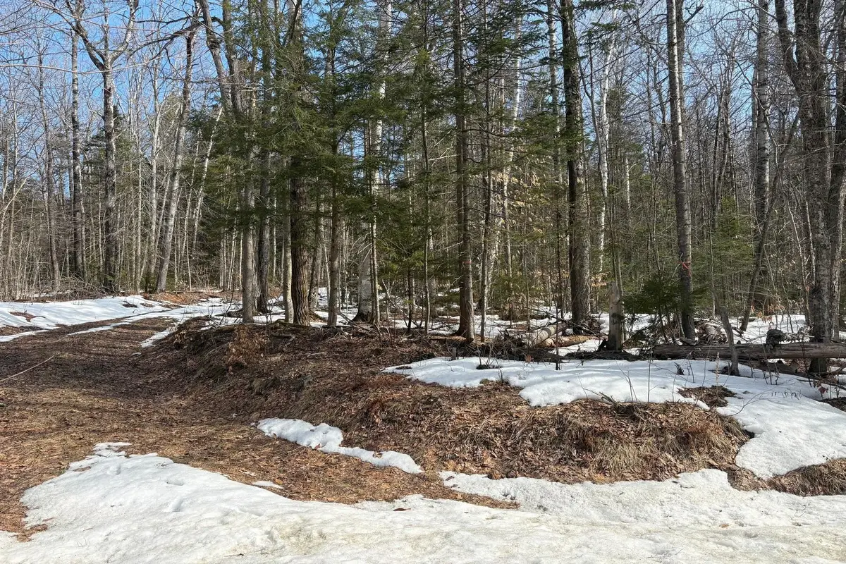 360 Dorman Road, Andover, VT 05143 - #1