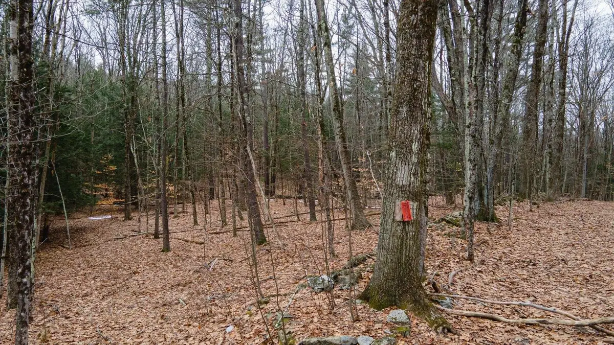 00 Patton Road, Westmoreland, NH 03467 - #1