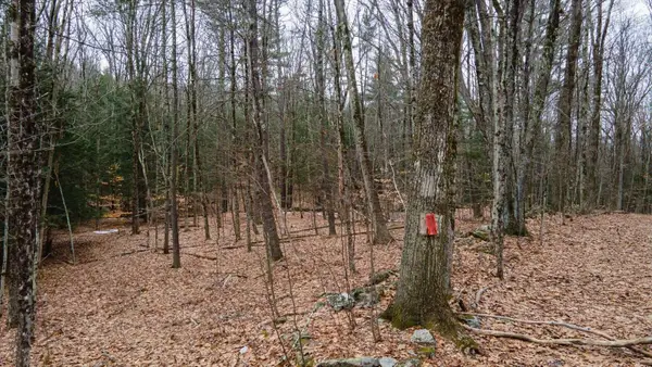 00 Patton Road, Westmoreland, NH 03467