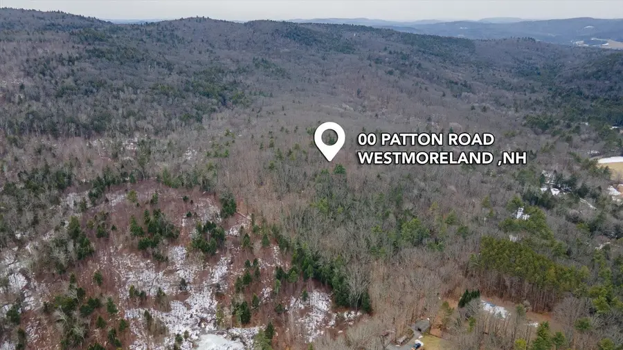 00 Patton Road, Westmoreland, NH 03467 - #3