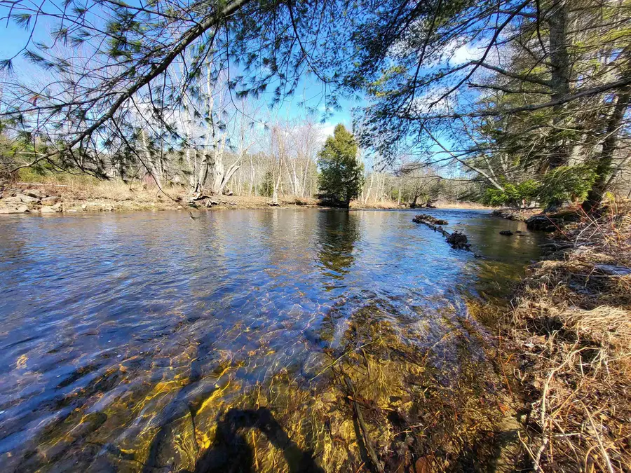 15 Berry Road, Alexandria, NH 03222 - #2