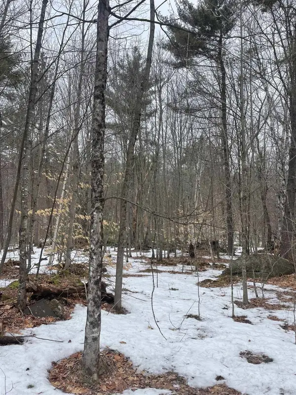 Lot 13-9 E Washington Road, Washington, NH 03280
