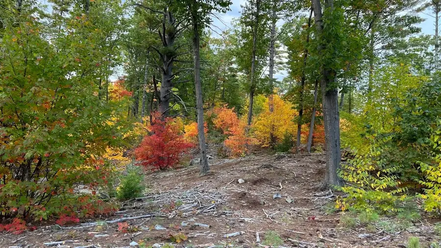 17 Todd Road, Francestown, NH 03043 - #3