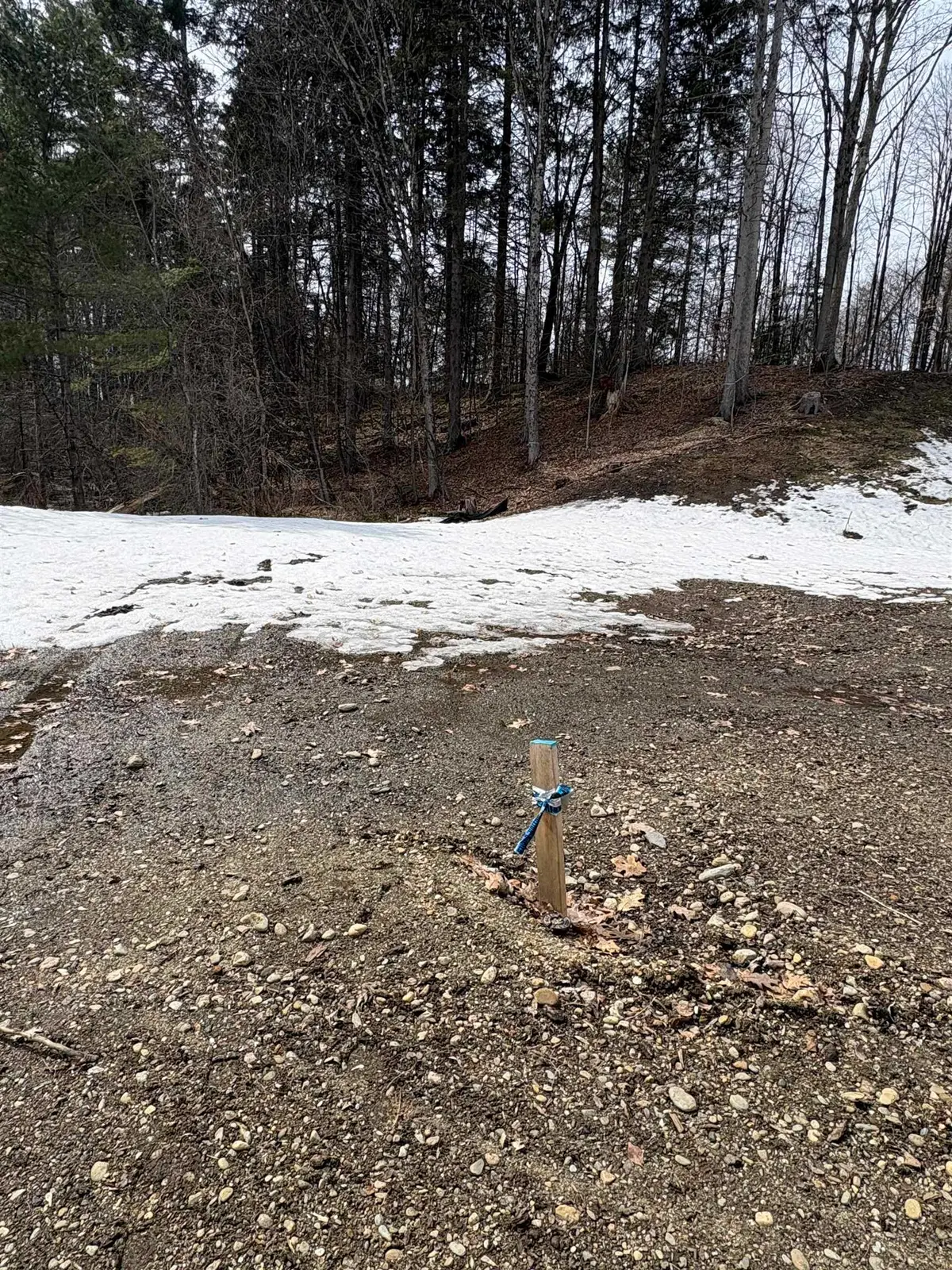 0 Pearl Street, Randolph, VT 05060 - #1