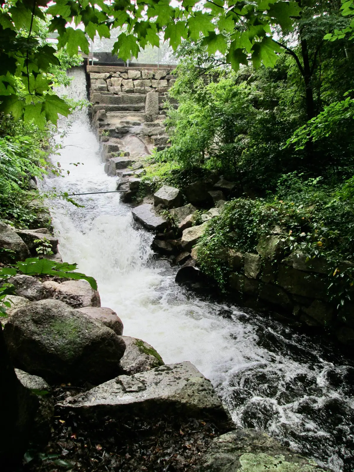 119 Moultonville Road, Center Ossipee, NH 03814 - #1