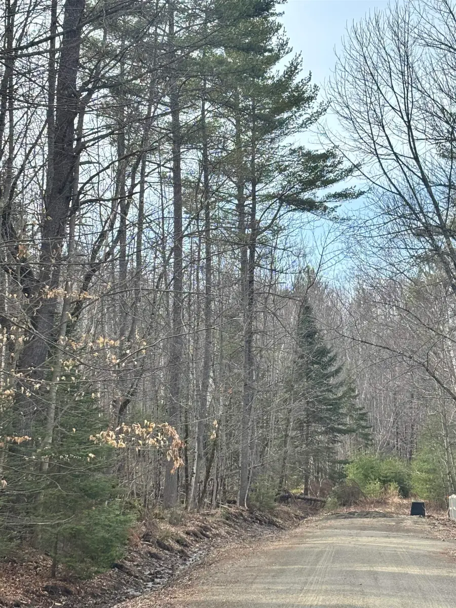 Bridgeview Drive #Lot 129A, Mountain Lakes, NH 03785 - #2