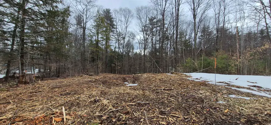 Poverty Plain Road #Map 7 Lot 100, Hillsborough, NH 03244 - #3
