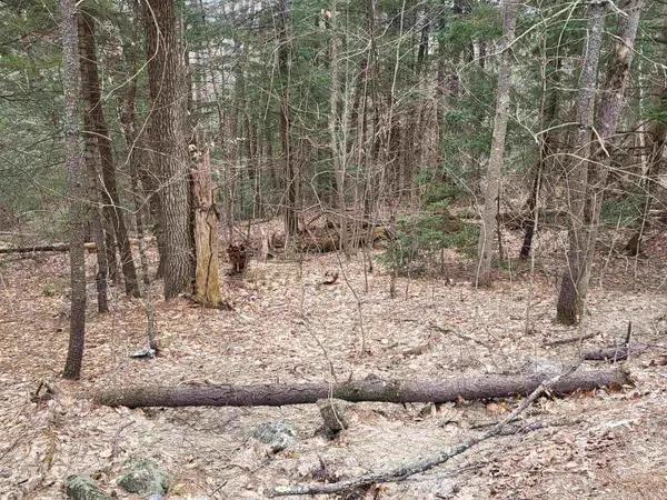 410-089-001 Eastern District Road, Danbury, NH 03230