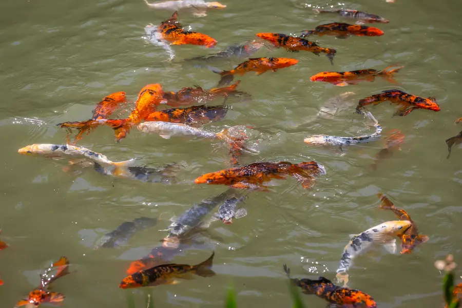 397 Fern Hill, Dorset, VT 05251 - #3