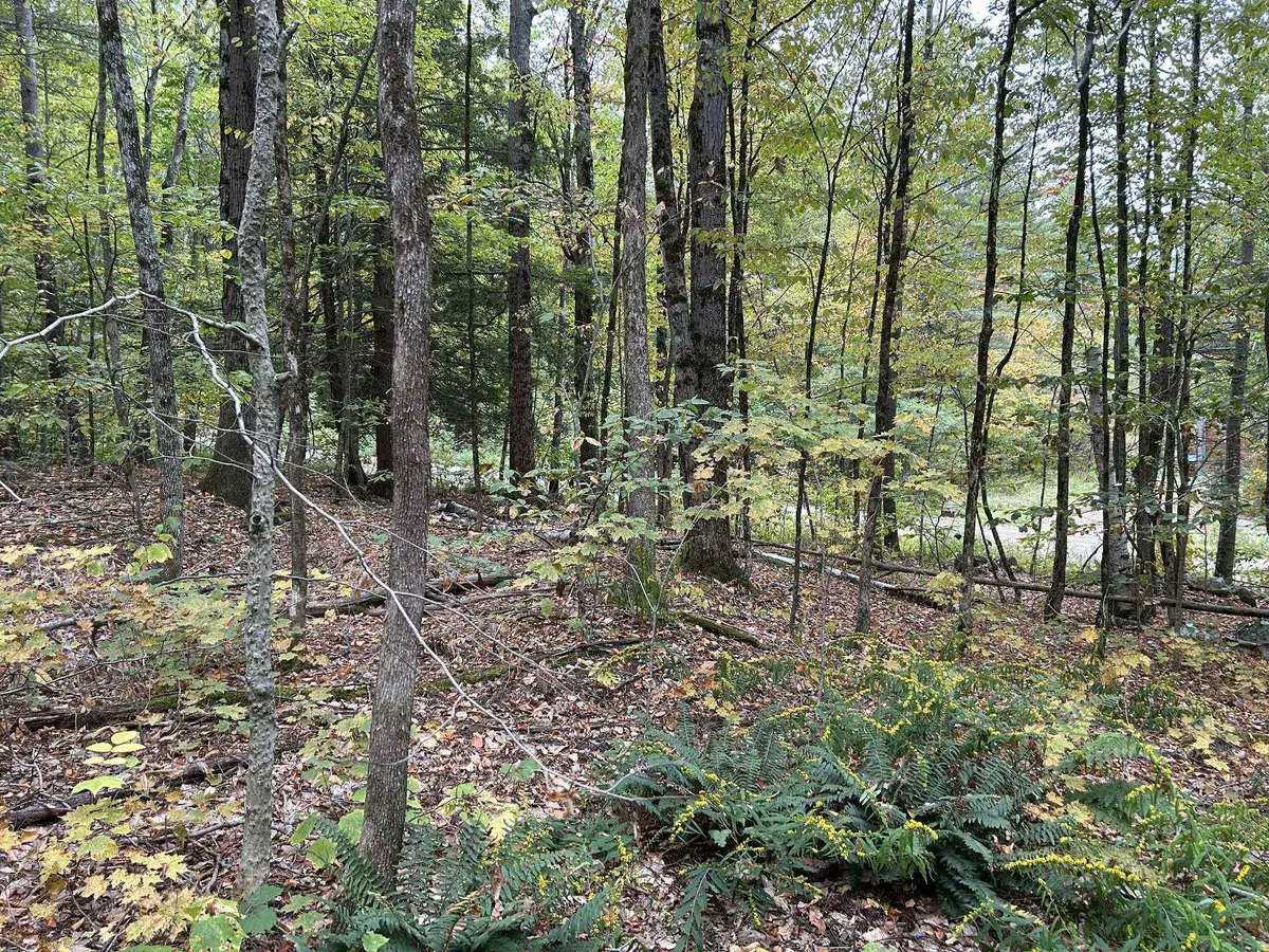 0 Crane Mt Road #Lot  2, Townshend, VT 05353 - #1