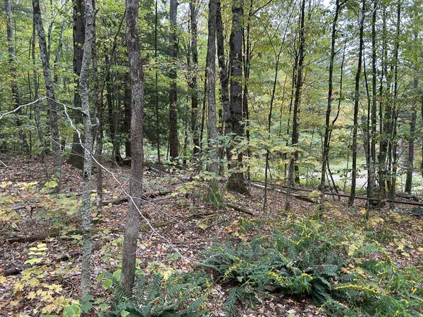0 Crane Mt Road #Lot  2, Townshend, VT 05353