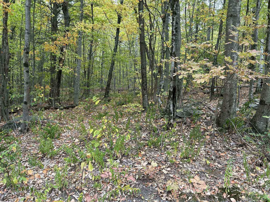 0 Crane Mt Road #Lot  2, Townshend, VT 05353 - #2