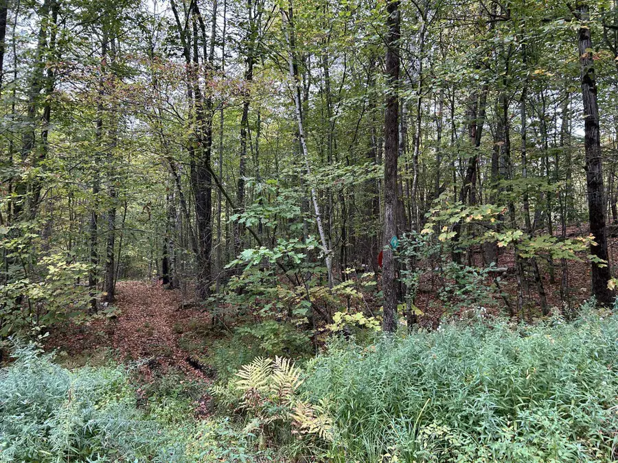 0 Crane Mt Road #Lot  2, Townshend, VT 05353 - #3