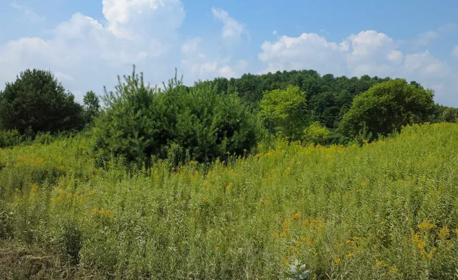 0 New Boston Road #1,2,3,4, Saint Johnsbury, VT 05819 - #3