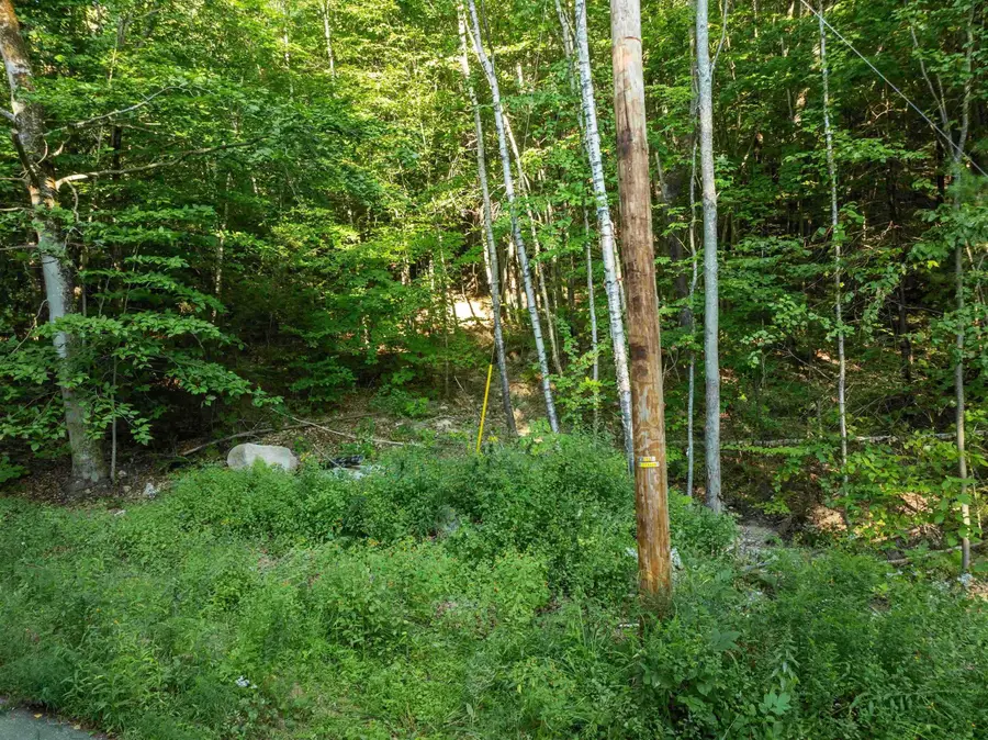 139 Tate Road, Gilford, NH 03249 - #3