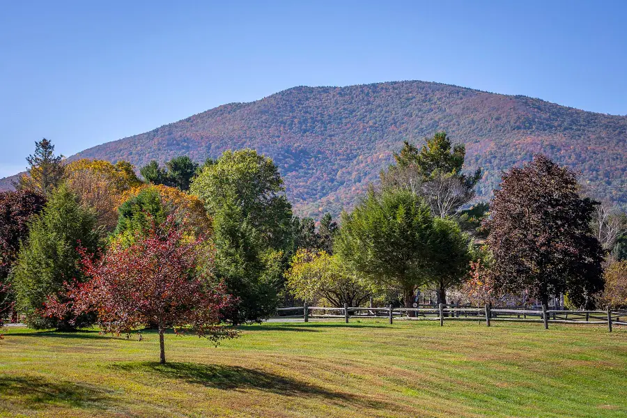 2677 Rte 30 Road, Dorset, VT 05251 - #2