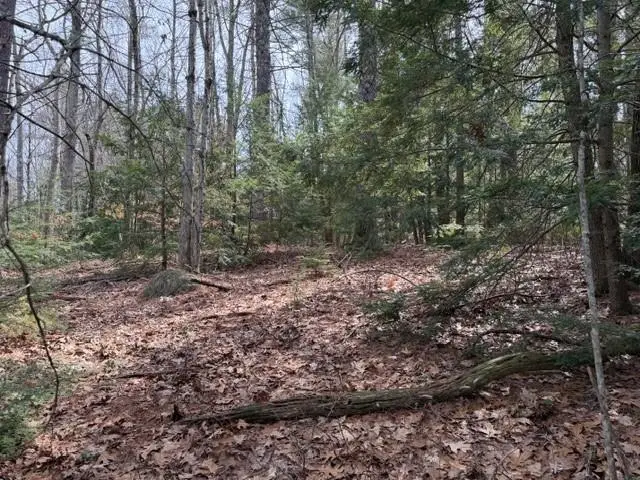 000 Ruonala Road, Milford, NH 03055 - #2