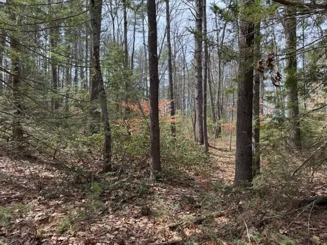 000 Ruonala Road, Milford, NH 03055 - #3