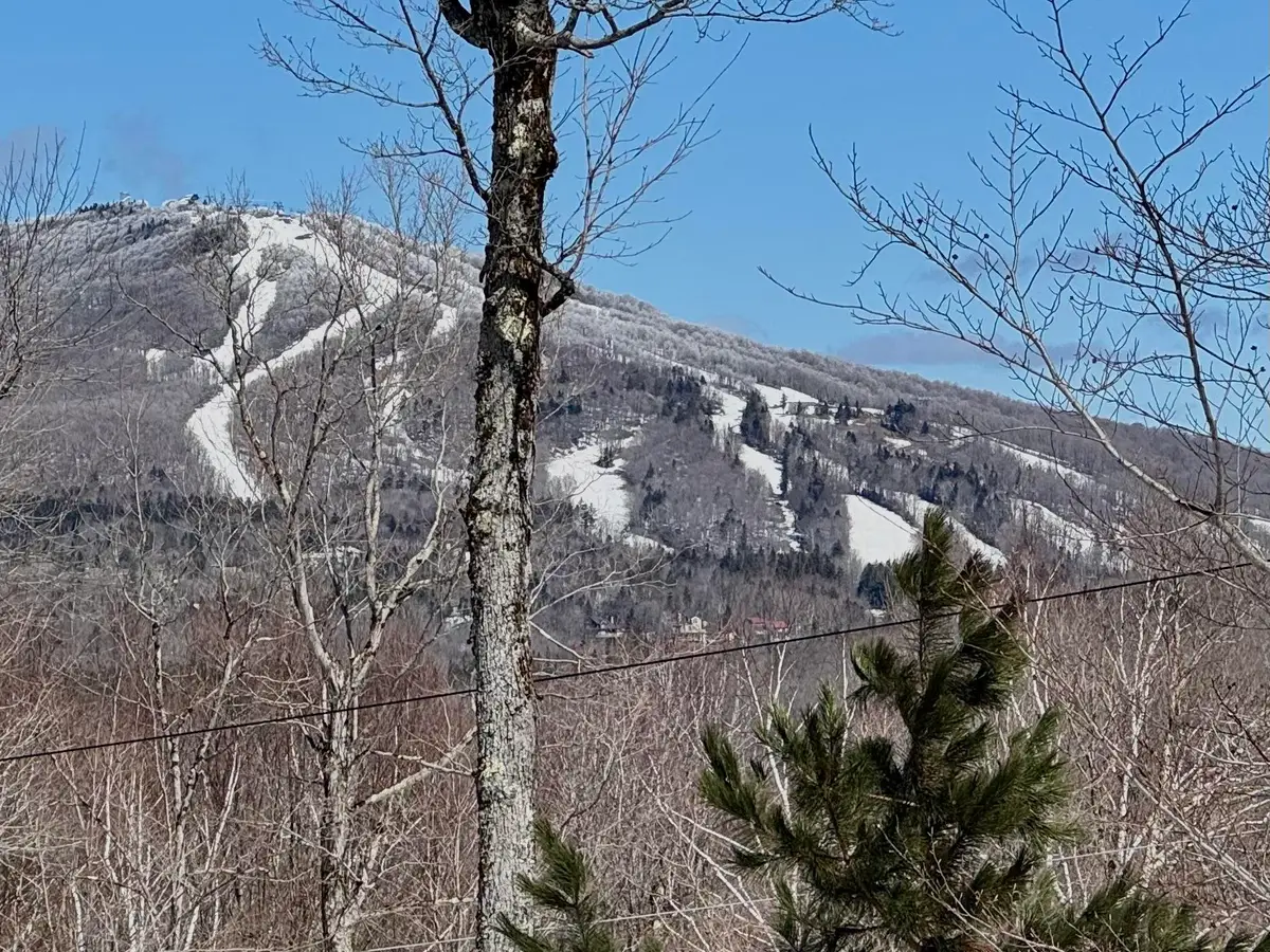 520 Moose Hollow Road, Winhall, VT 05340 - #1