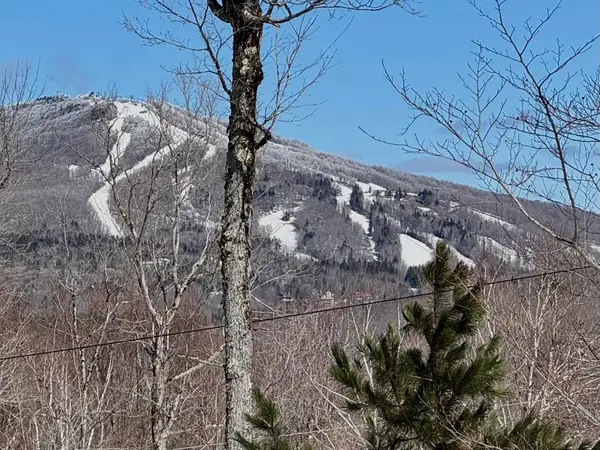 520 Moose Hollow Road, Winhall, VT 05340